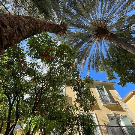 Lejlighed Under The Citrus Trees *