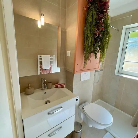 Under The Citrus Trees Appartement