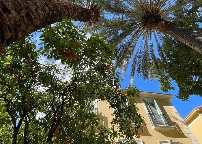 Apartamento Under The Citrus Trees *